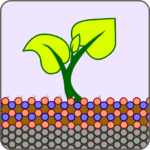 Project T logo