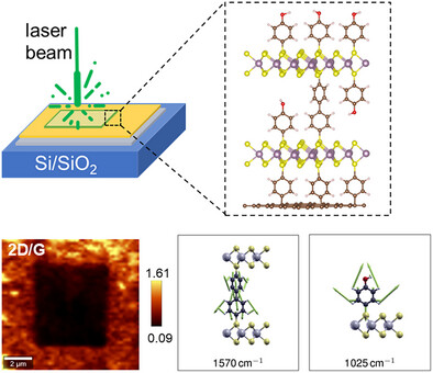 Table of contents graphic for article AFM 2425776