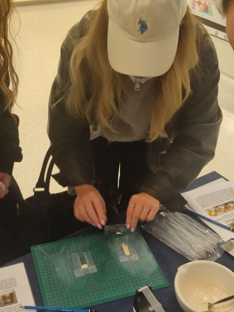 Blade-coating a titania electrode