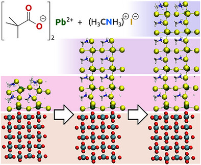 TOC for paper Koch 2025